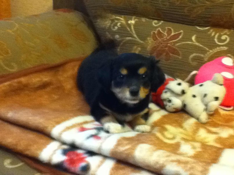 Светлана Иванова | Псков