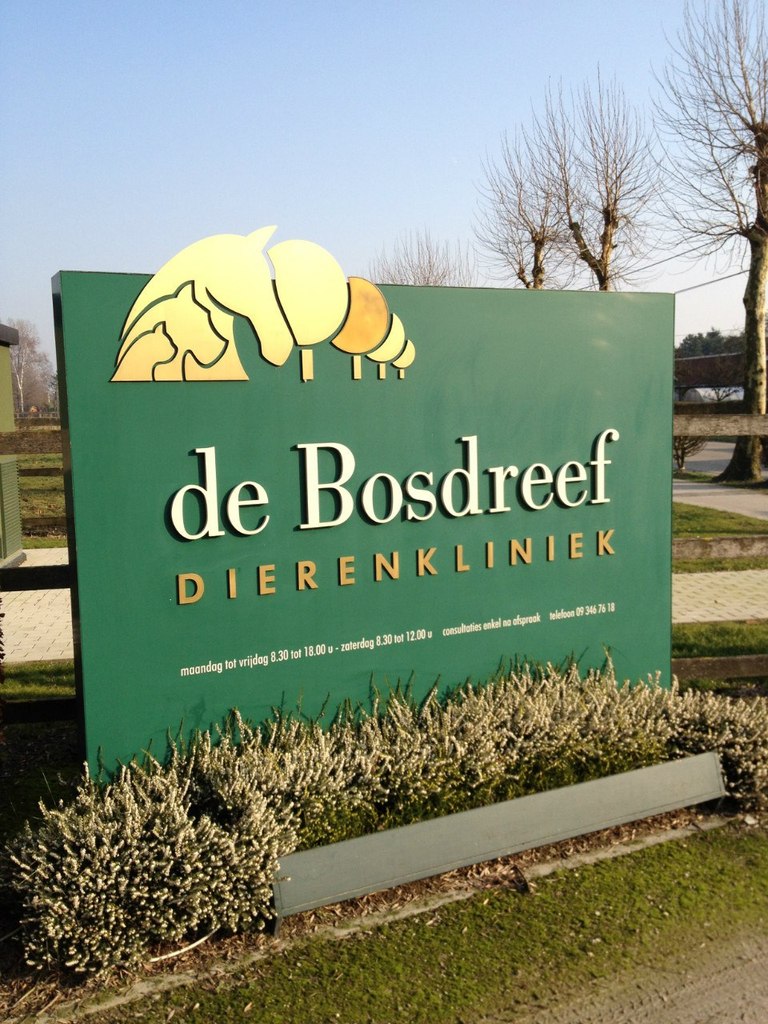 Кристина Алексина | Gent