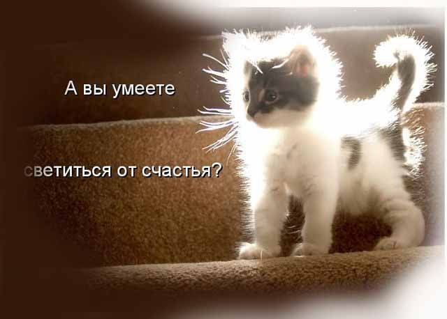 Люда Волох | Луцк