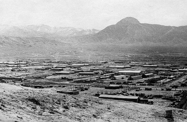 №50, Сергей Елисеев, 62 года, Армавир №50, Сергей Елисеев, 62 года, Армавир