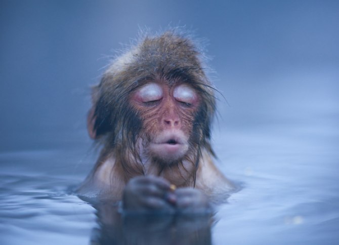 Никита Курдыба N!KE | 