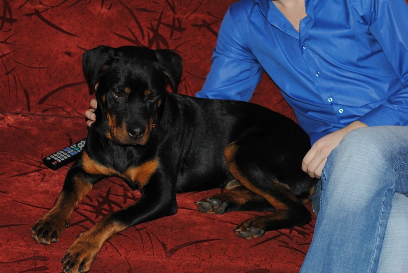 Макс Пашков | Санкт-Петербург