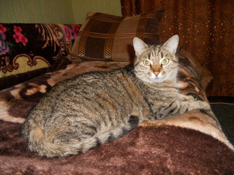 Ольга Власенко | Донецк