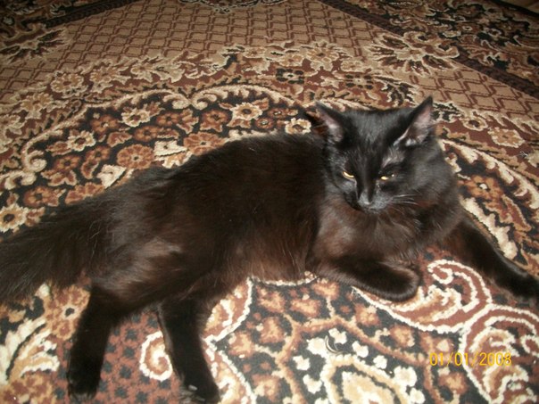 №107, Наталия Мурзина, 34 года, Верхняя Салда №107, Наталия Мурзина, 34 года, Верхняя Салда