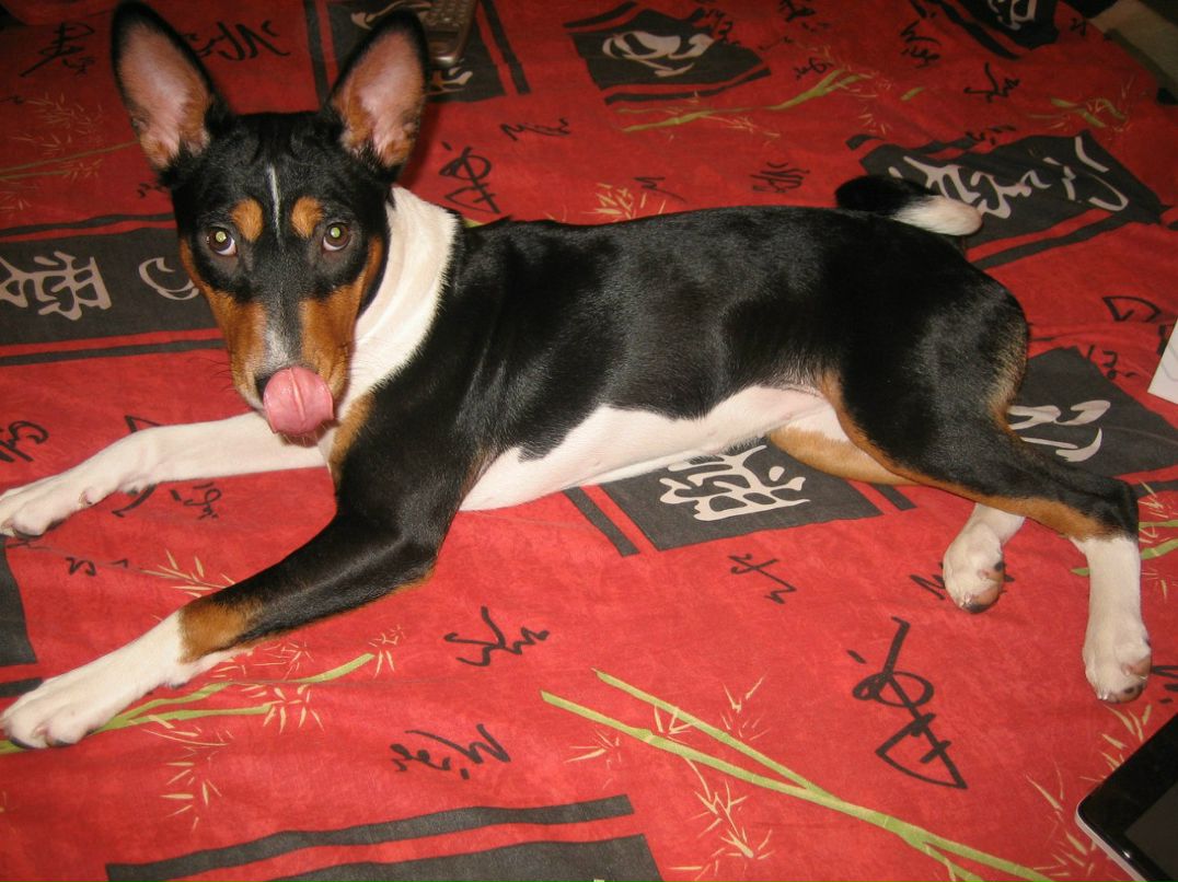 Ольга Яранцева | Санкт-Петербург