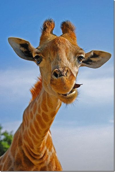 №158, Анастасия Маркевич, Запорожье №158, Анастасия Маркевич, Запорожье