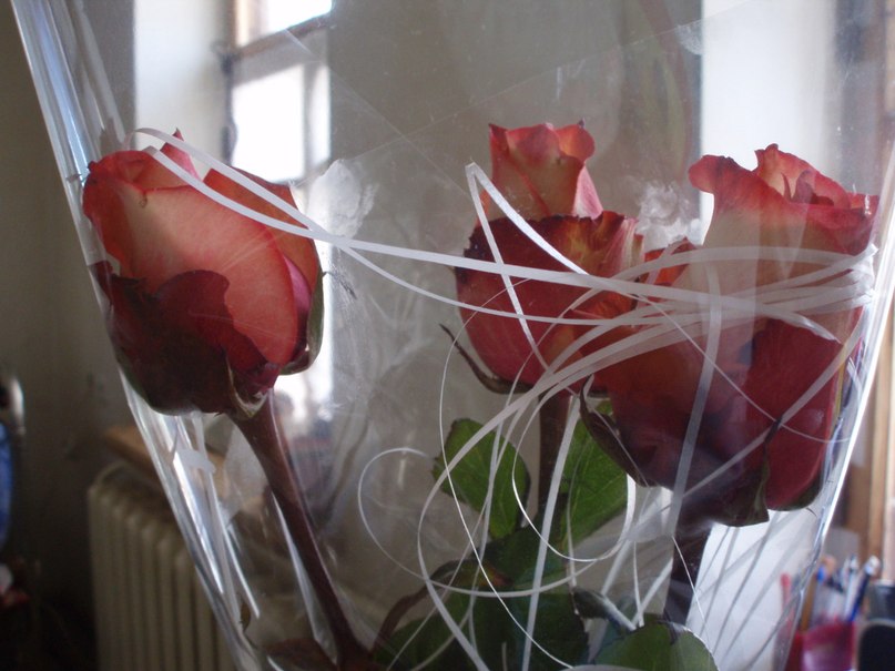 Аня Косенко | Одесса