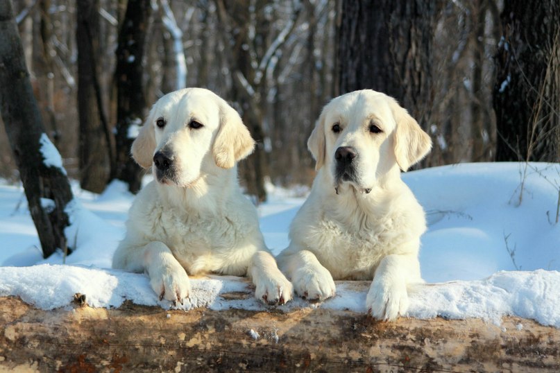 Светлана Ситникова | Ульяновск