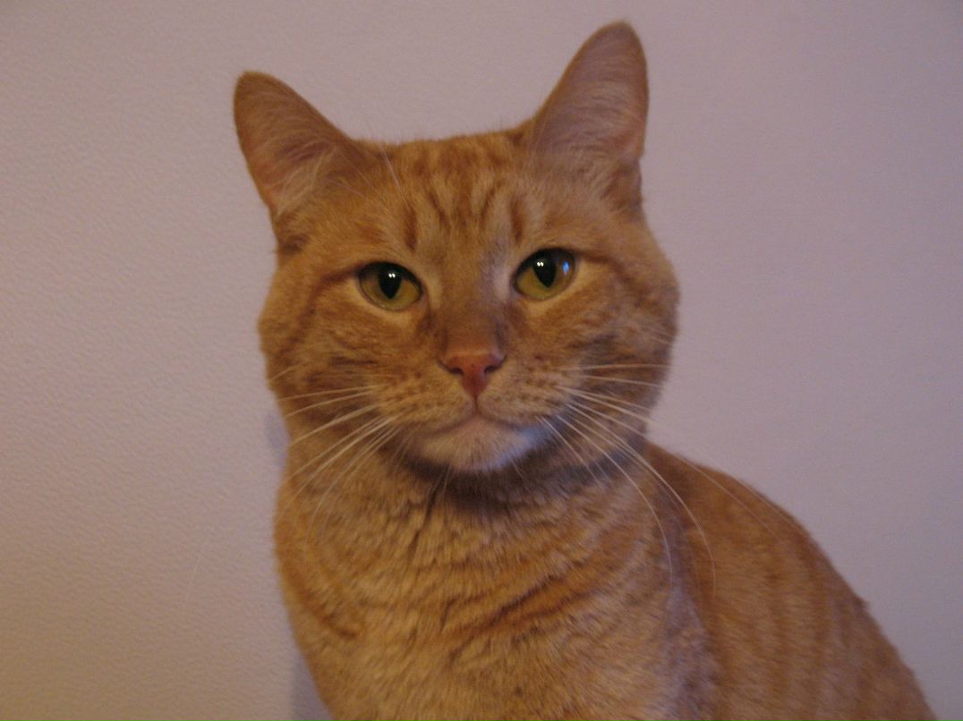 Алёна Лемех-Дегтярева | Тюмень