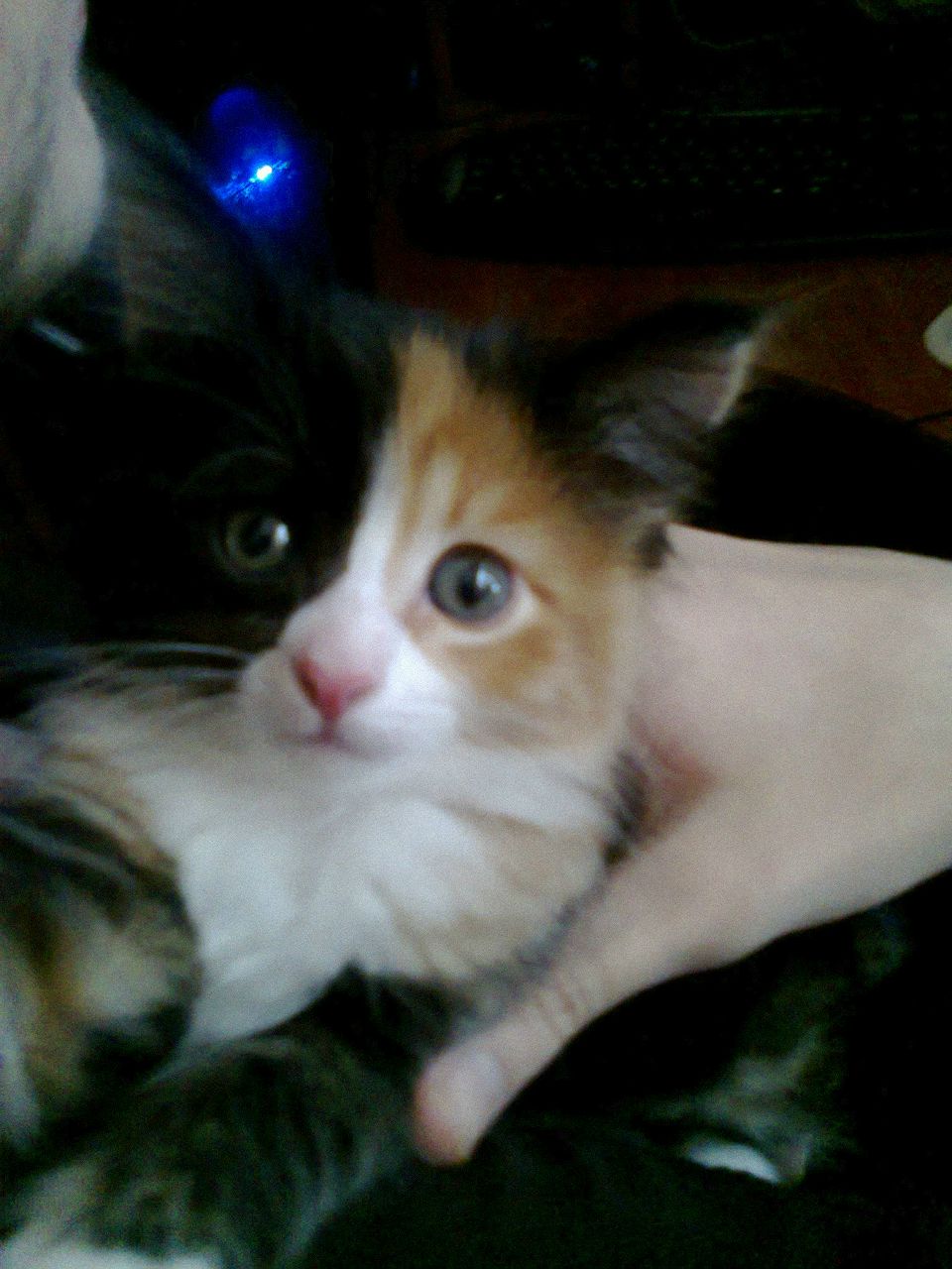 Гашан Башарин Кто не важнО оО | Москва