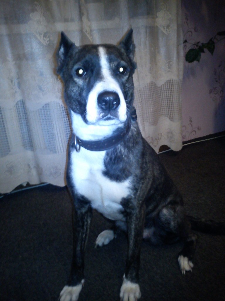 Виталий Клишин Викторович | Северодвинск