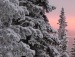 Любовь Григорьева фотография #21