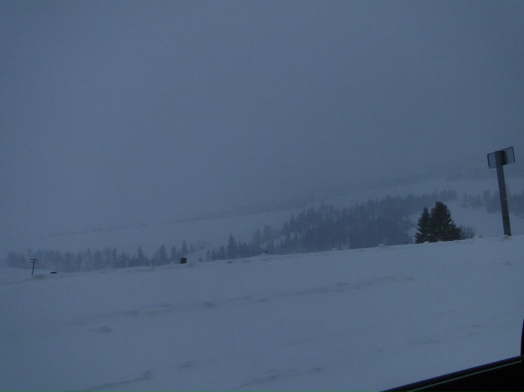 Ігор Коліба | Львов