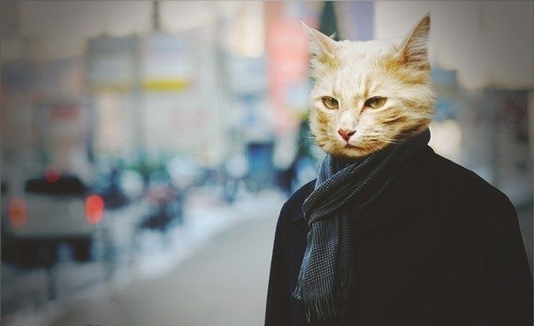 Shurik Gafurov | Москва