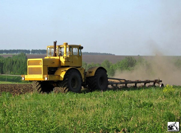 №14, Алексей Павлов №14, Алексей Павлов