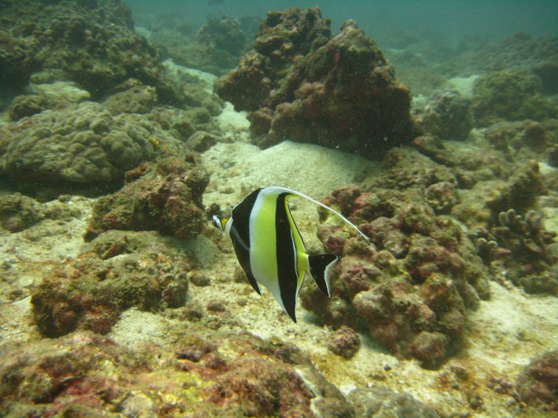 Alex Black ~*GoodTrip*~ | Москва