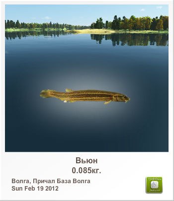 Kardan *** | Новополоцк