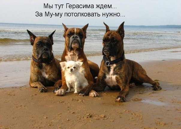 Алексей Зинченко | Омск