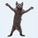 Иван Спиглазов | Misrata