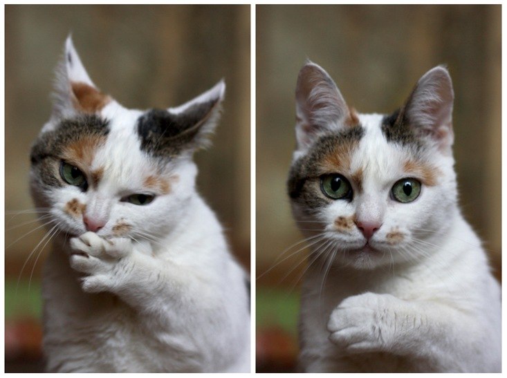 Аркадий Хоменко Mycroft | Ростов-на-Дону