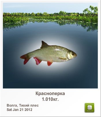 Александр Силин | Великие Луки