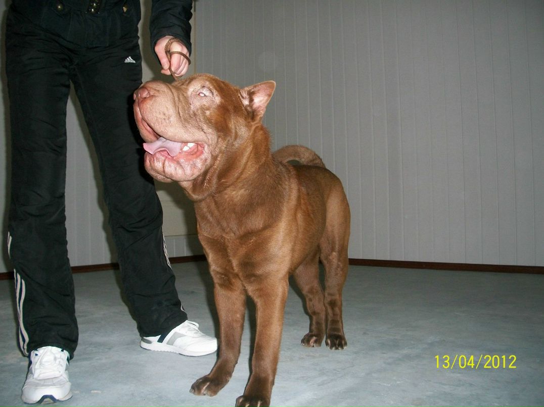 Анна Ялпута | Северодонецк