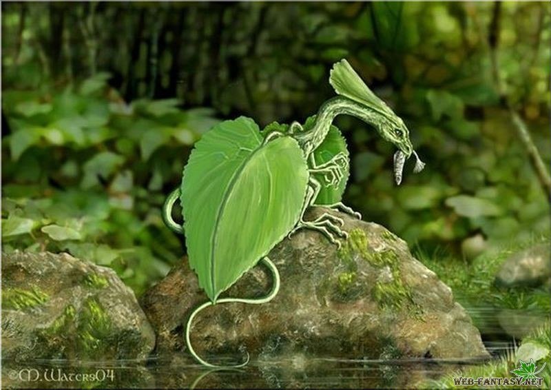 Наташа Ионова | Рязань