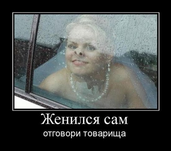 Андрей Иванов | Вологда