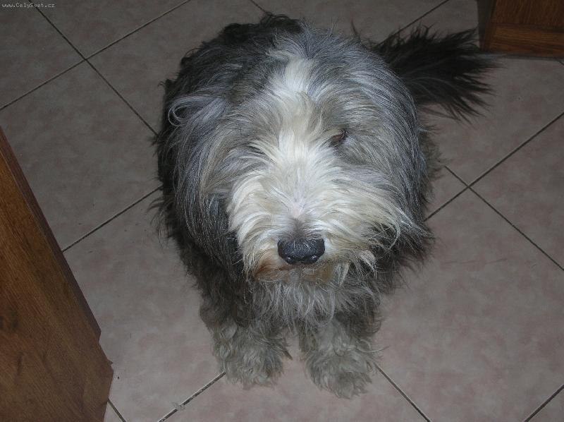 Светлана Черемных | Тула