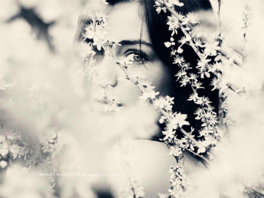 Вера Лубнина | Сокол