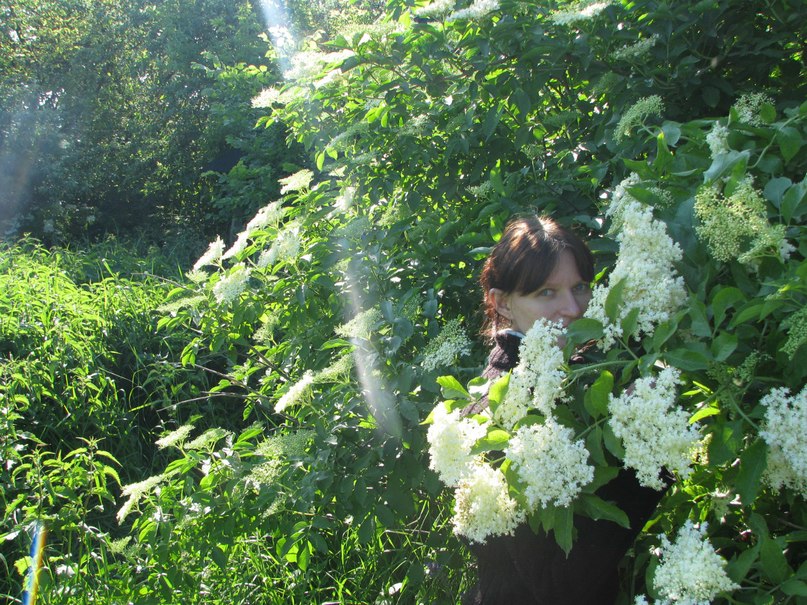 Елена Кравченко | Киев