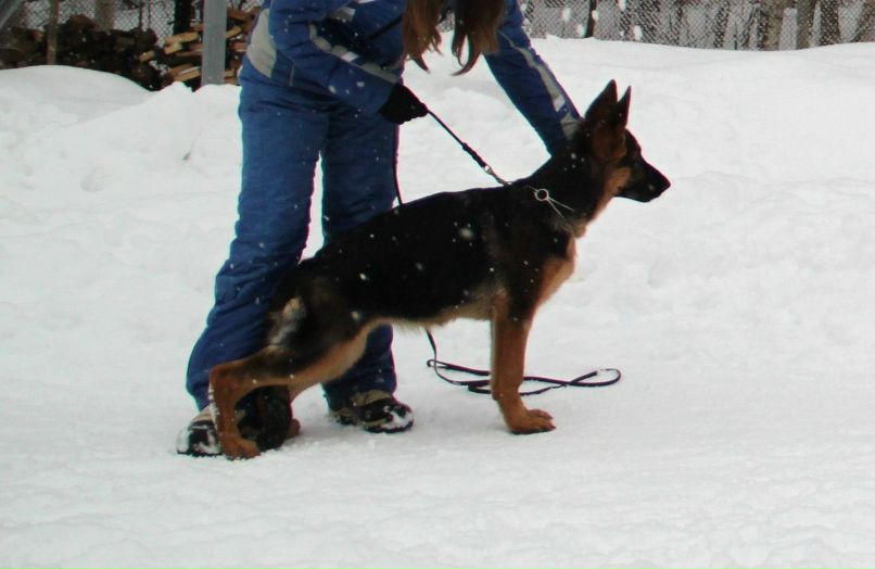 Вика Петлина | Москва