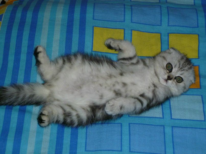 Юлия Ракова | Омск