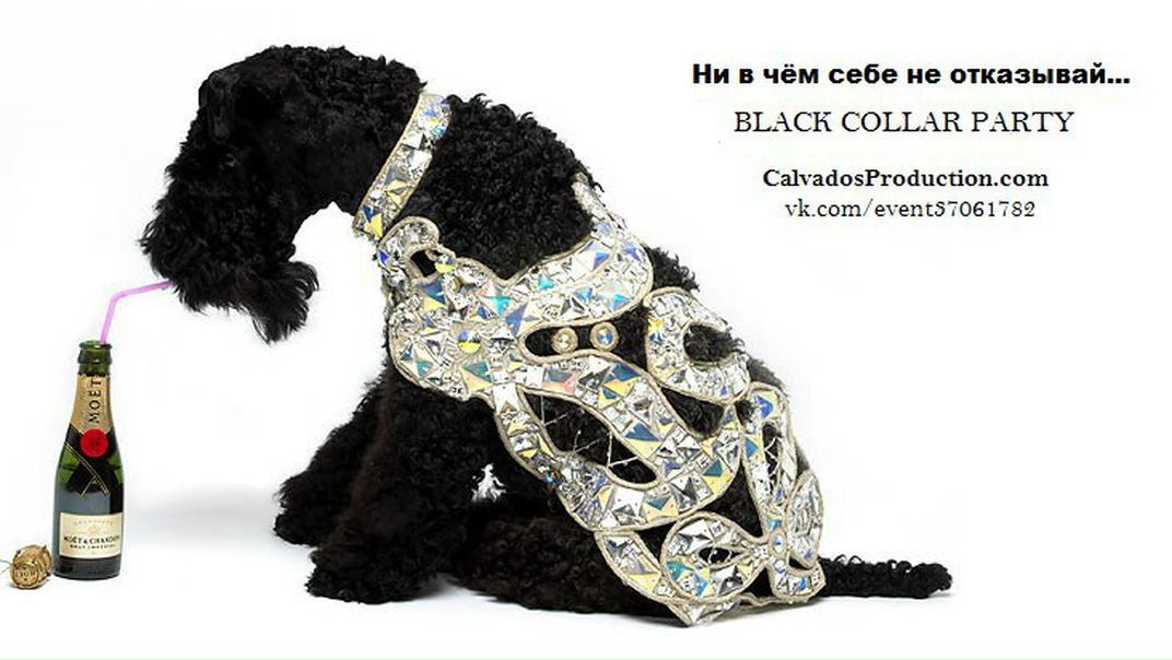 №33, Got Life, Москва №33, Got Life, Москва