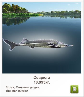 Сергей Корсунский | Харьков