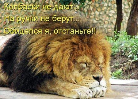 Ильдар Кильмаматов Айратович | Уфа