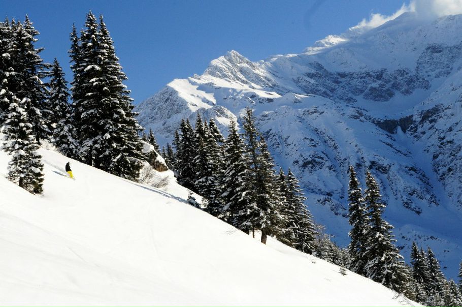 №95, Денис Татарников, Москва №95, Денис Татарников, Москва