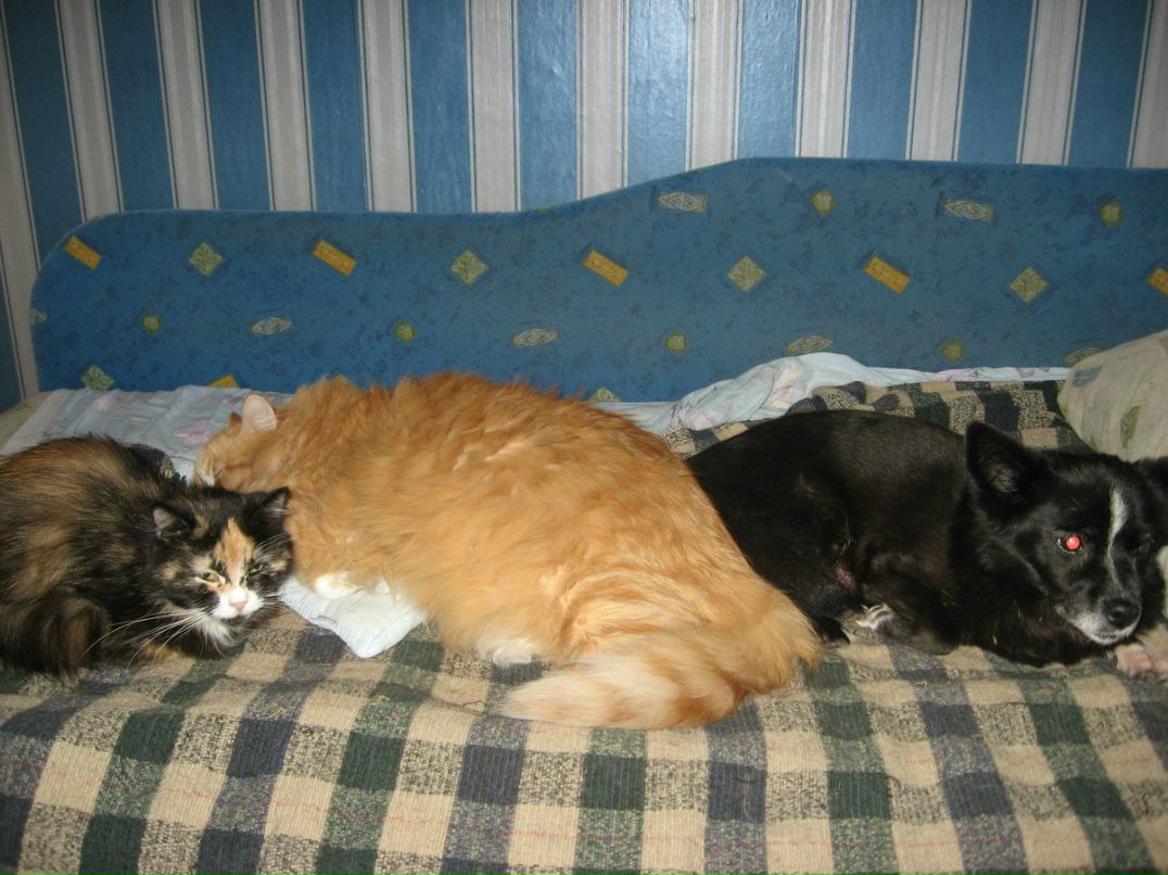 Лидия Струкова | Санкт-Петербург