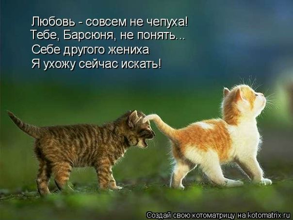 №53, Максим Изюмов, 41 год, Одесса №53, Максим Изюмов, 41 год, Одесса
