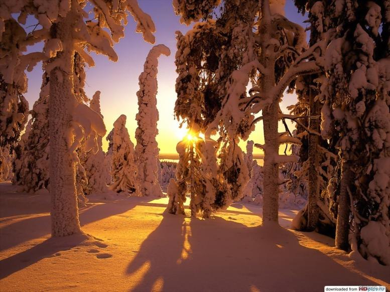 Олександр Копаниця | Киев