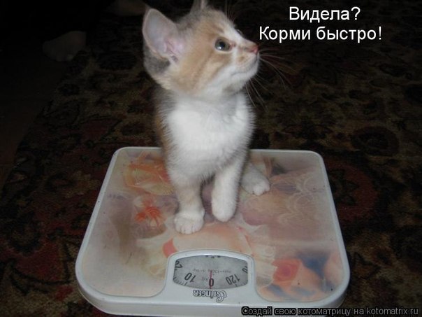 Юля Капелюшок | Киев