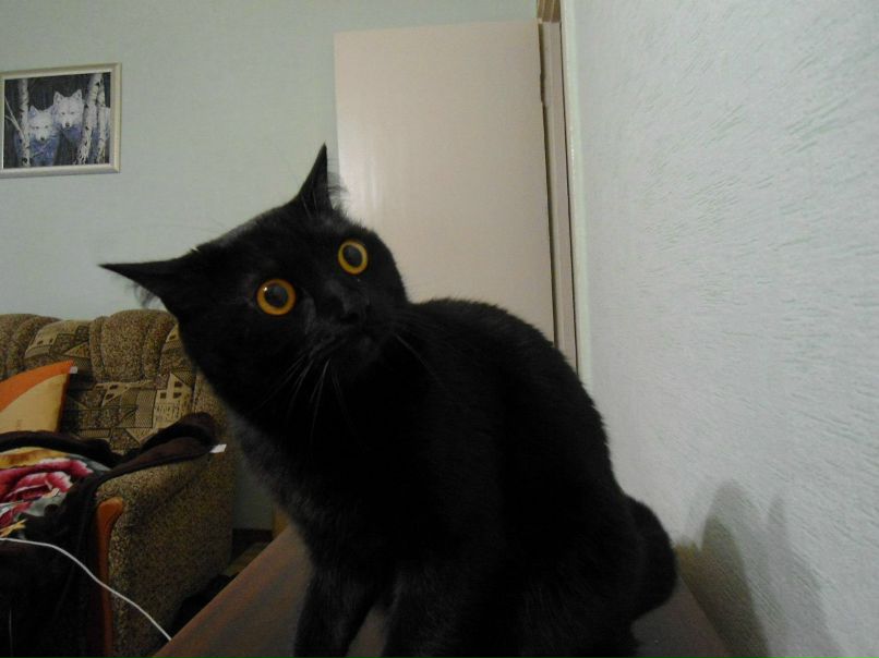 Евгений Куприец | Киев