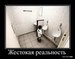 Владимир Ефимов фотография #24