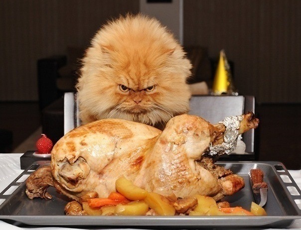 №186, Ольга, Севастополь №186, Ольга, Севастополь