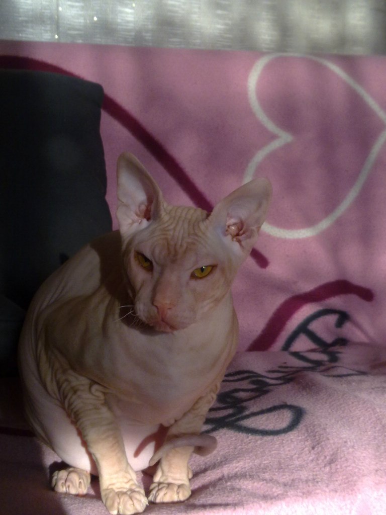 Ольга Цюрупа | Санкт-Петербург