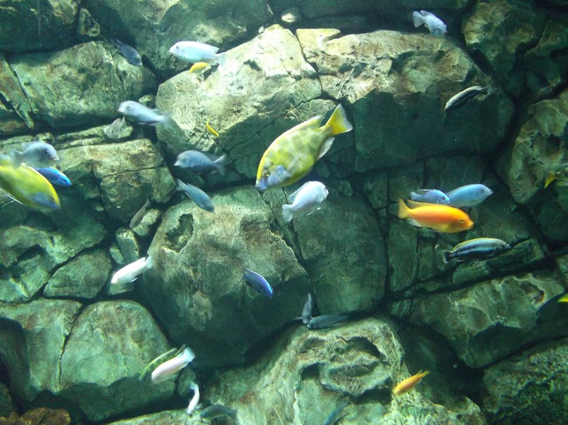 Анна Завьялова | Москва