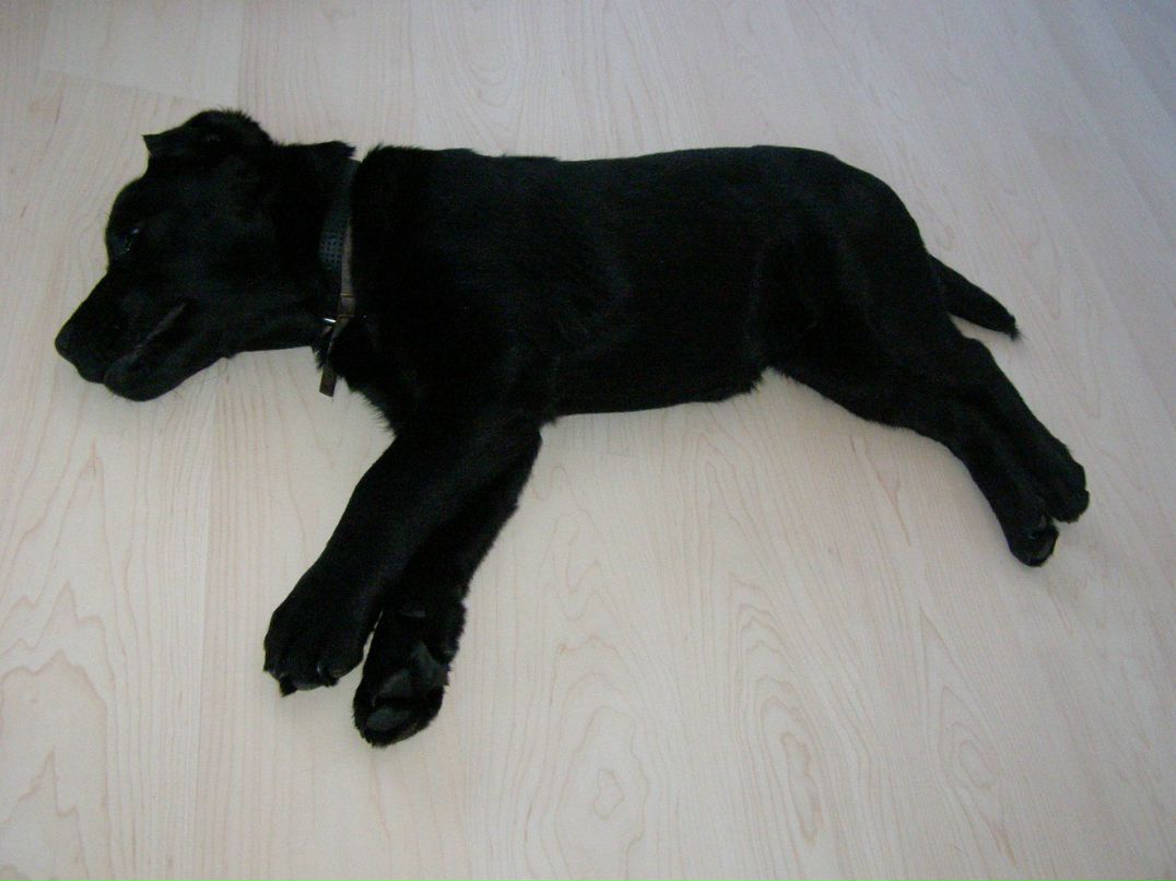 Юлия Пчёл | Омск