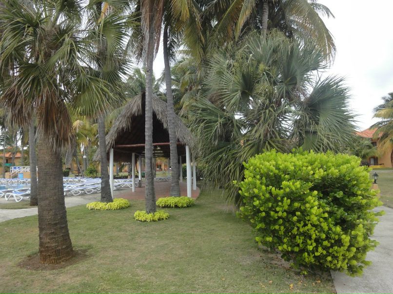 Рома Дашкевич | Мурманск