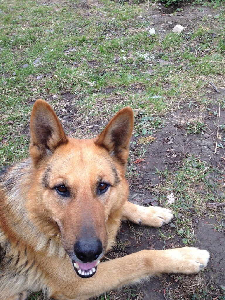 Стас Лопатинский | Иерусалим