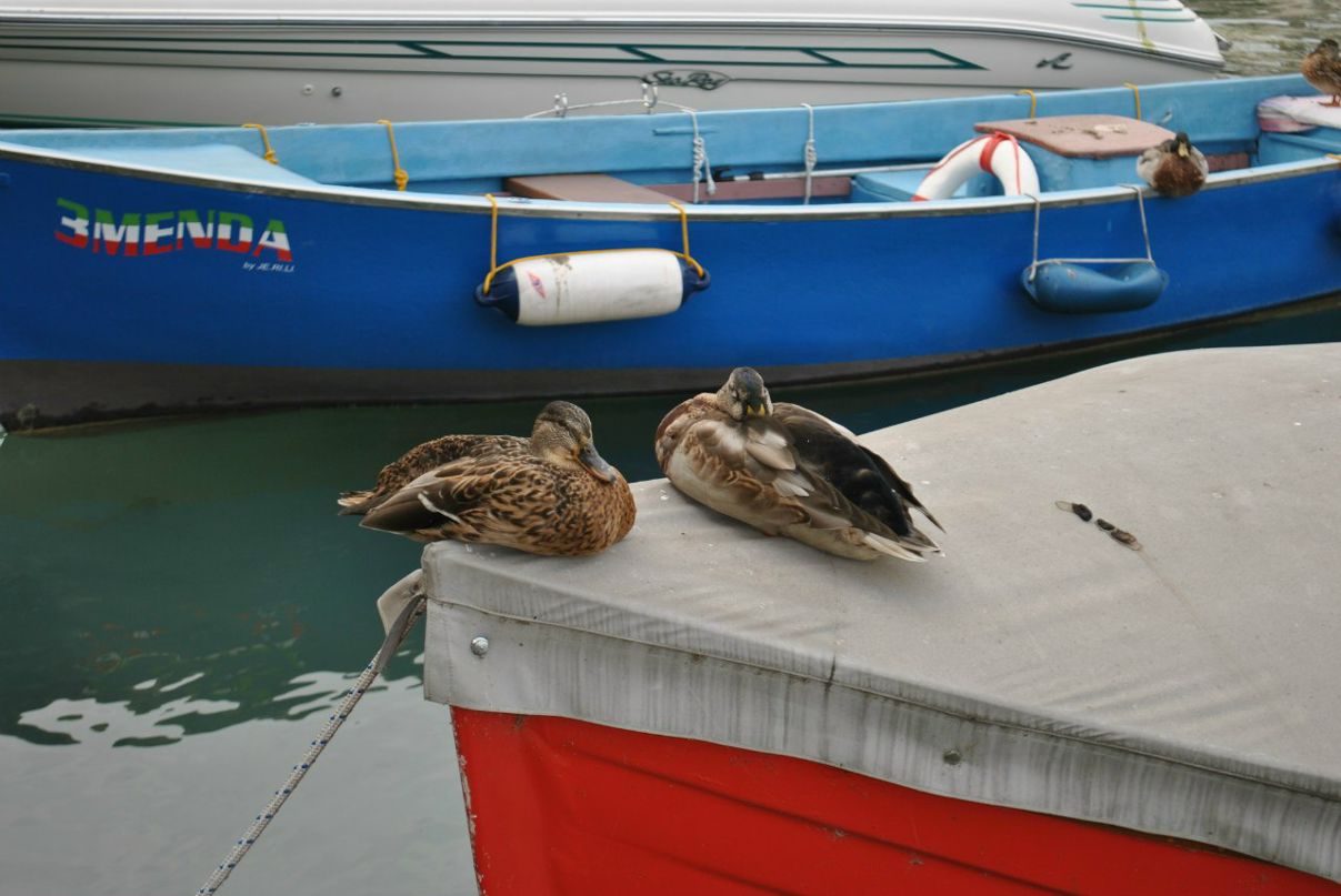 Ирина Лебедева | Москва